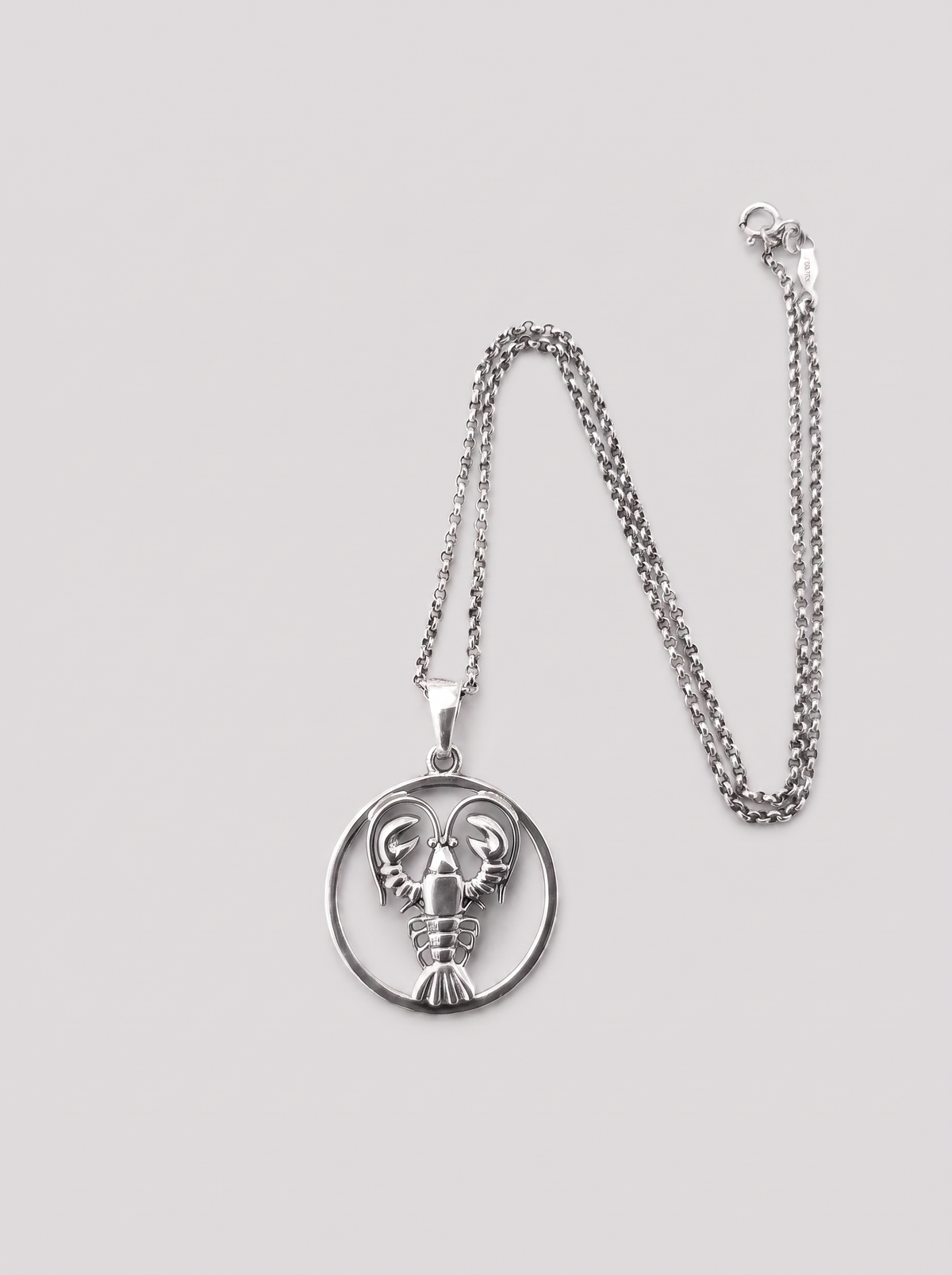 Cancer Zodiac Necklace