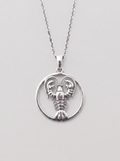 Cancer Zodiac Necklace