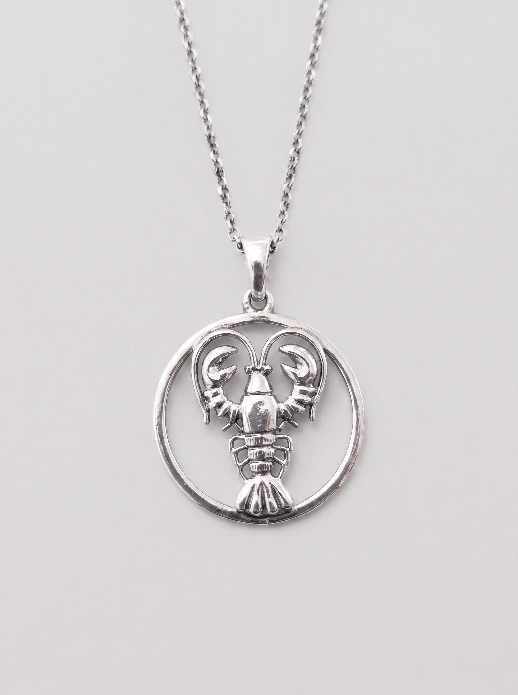 Cancer Zodiac Necklace