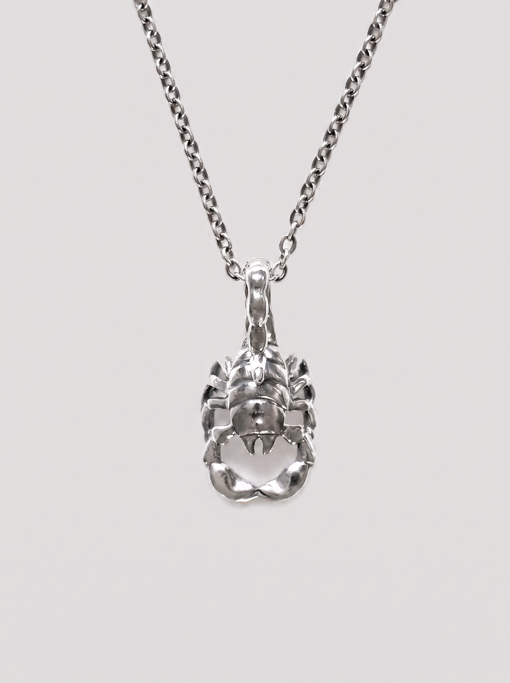 Scorpio Zodiac Necklace