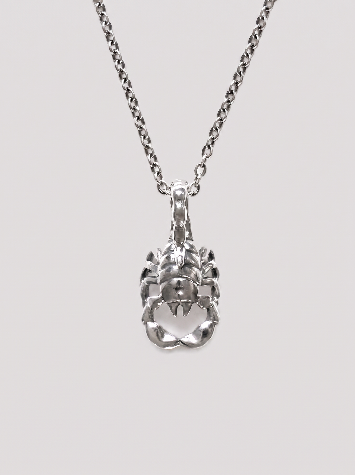 Scorpio Zodiac Necklace