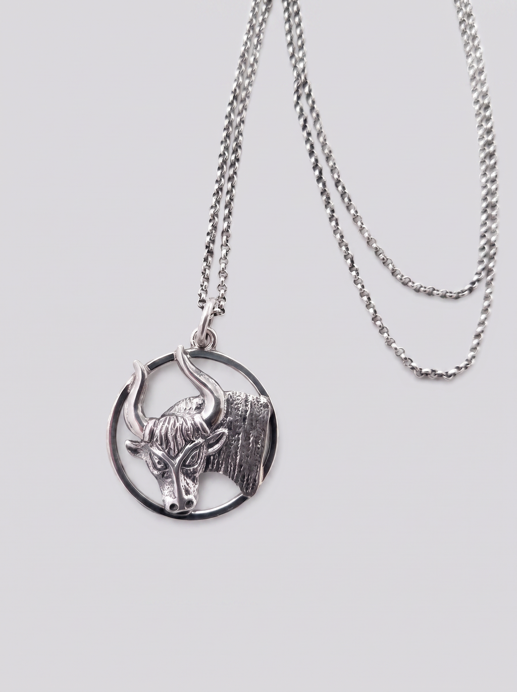 Taurus Zodiac Necklace