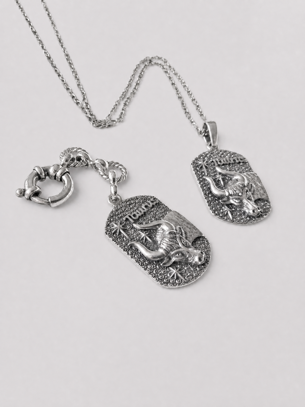 Taurus Keychain
