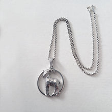 Capricorn Zodiac Necklace