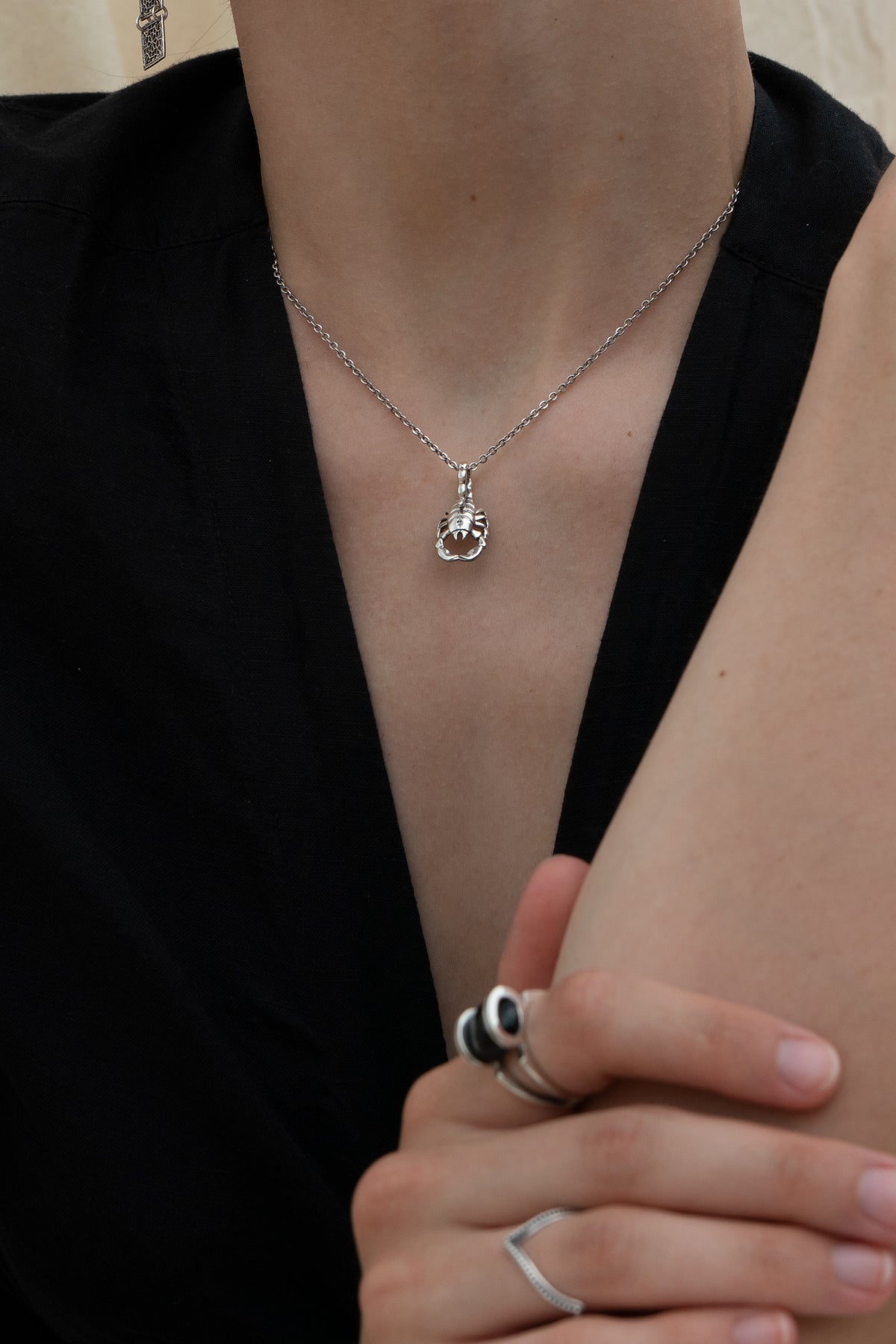 Scorpio Zodiac Necklace